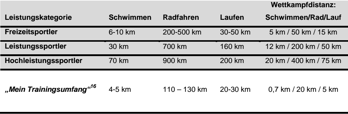 Mein erster Triathlon &#8211; Einordnung Leistung